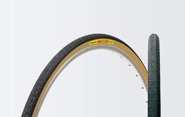 Panaracer Pasela — three-quarter view
