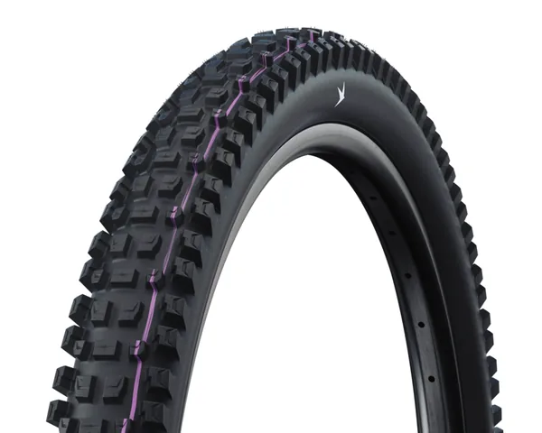 Schwalbe Albert — three-quarter view
